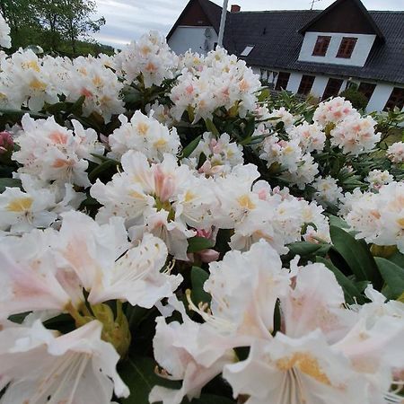 Lysbjerg Bed & Breakfast Fåborg Dış mekan fotoğraf